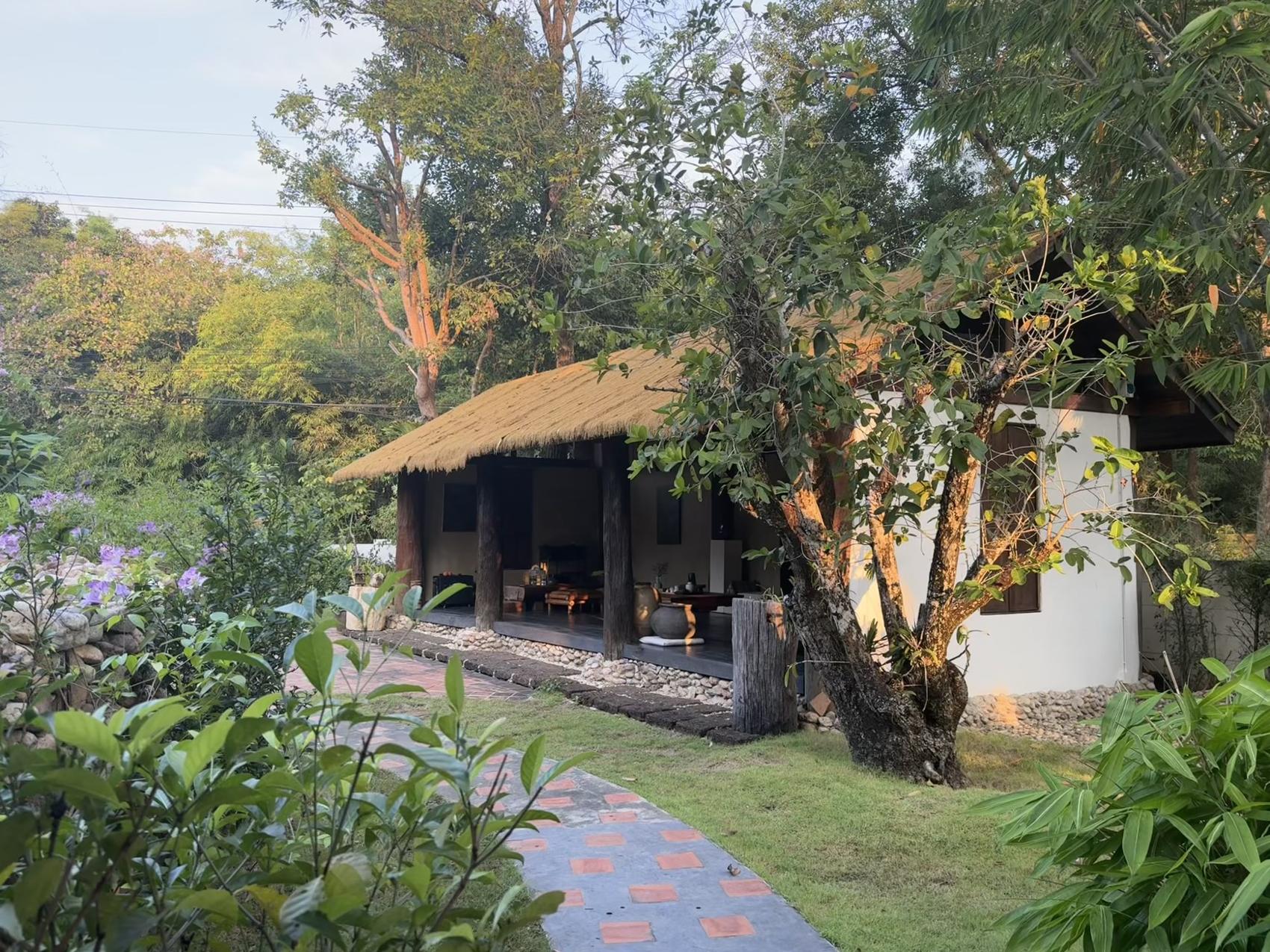 The bamboo pavilion among trees at the Chiang Mai tea house