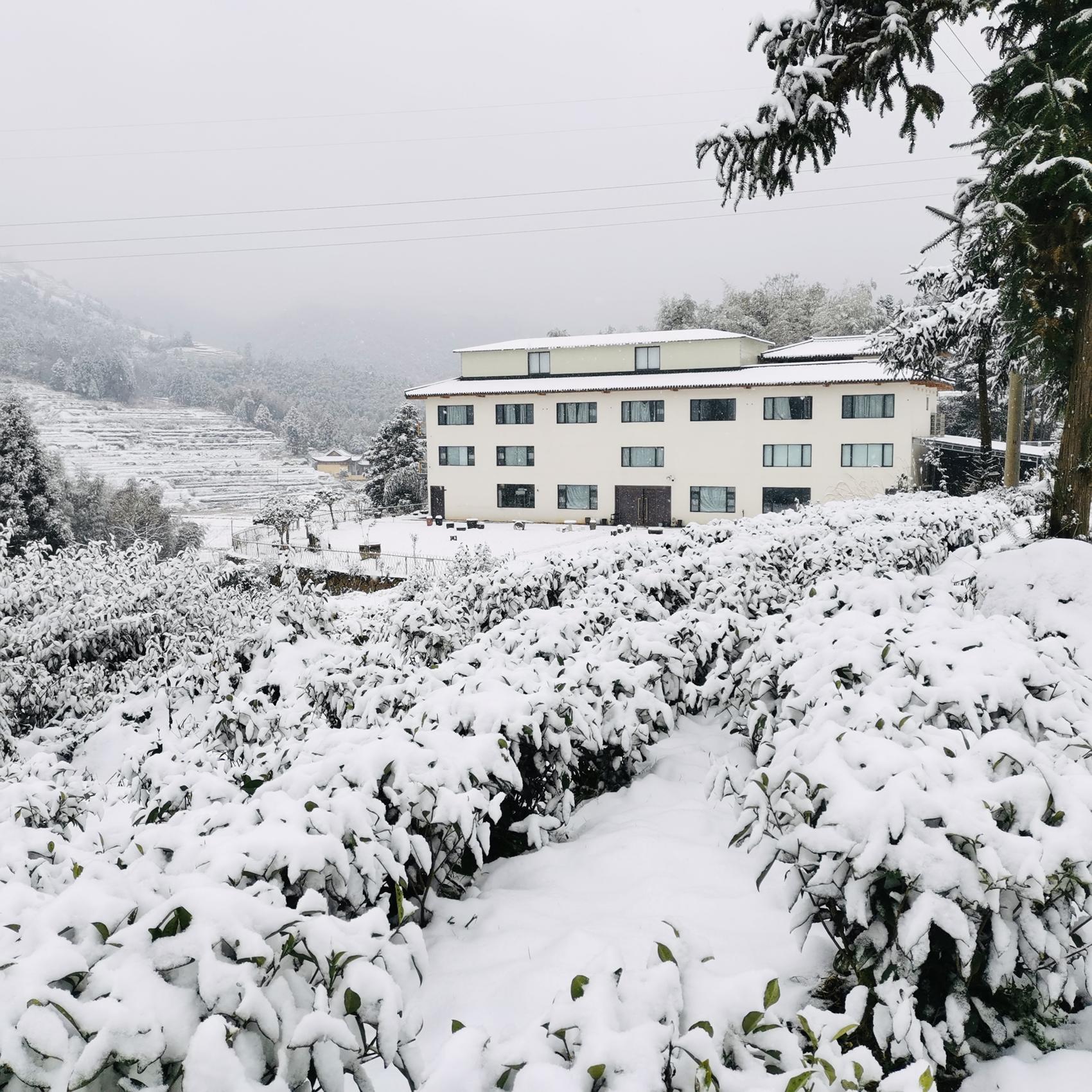 The retreat and tea rows under snow