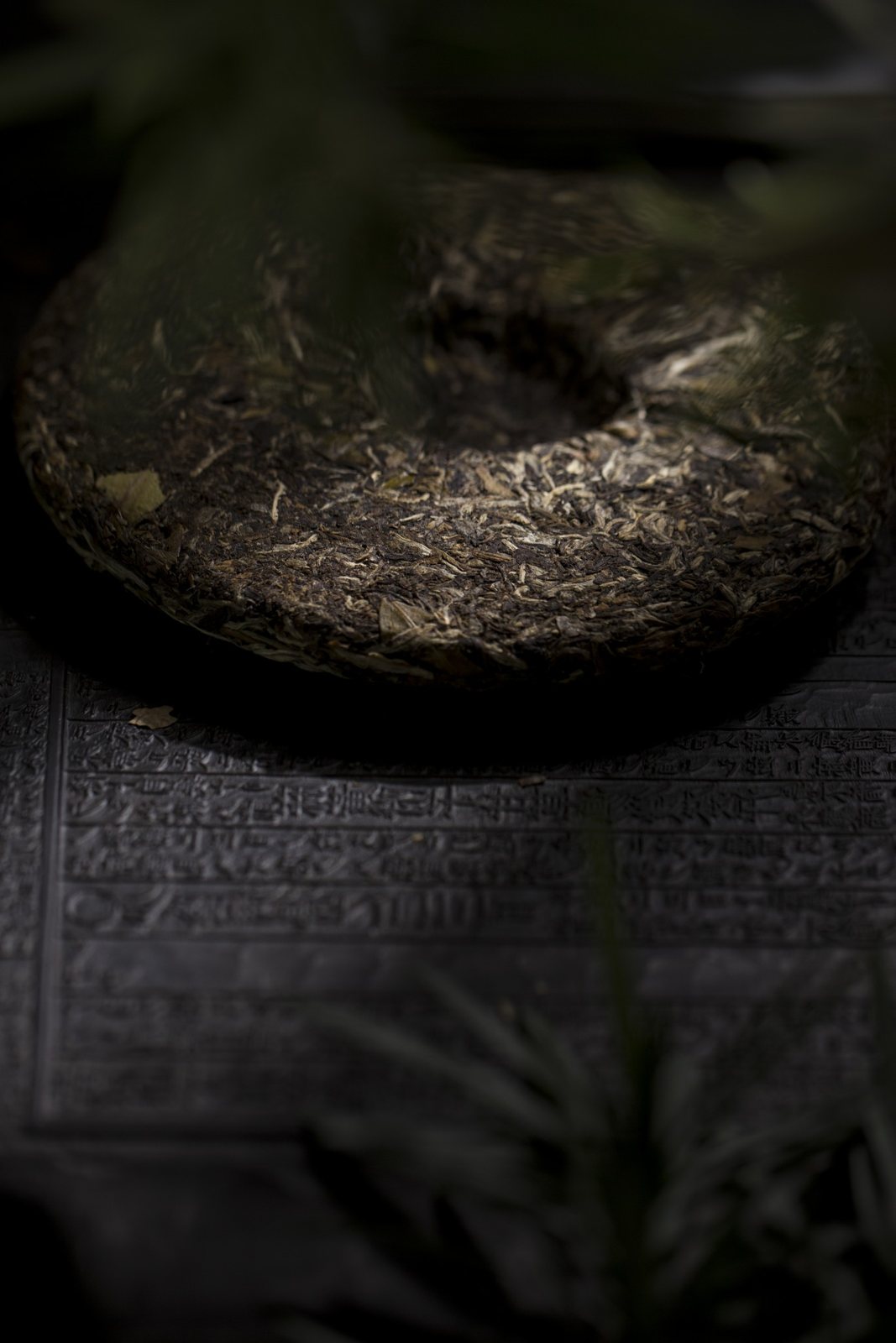 Unpolished Truth — the leaf