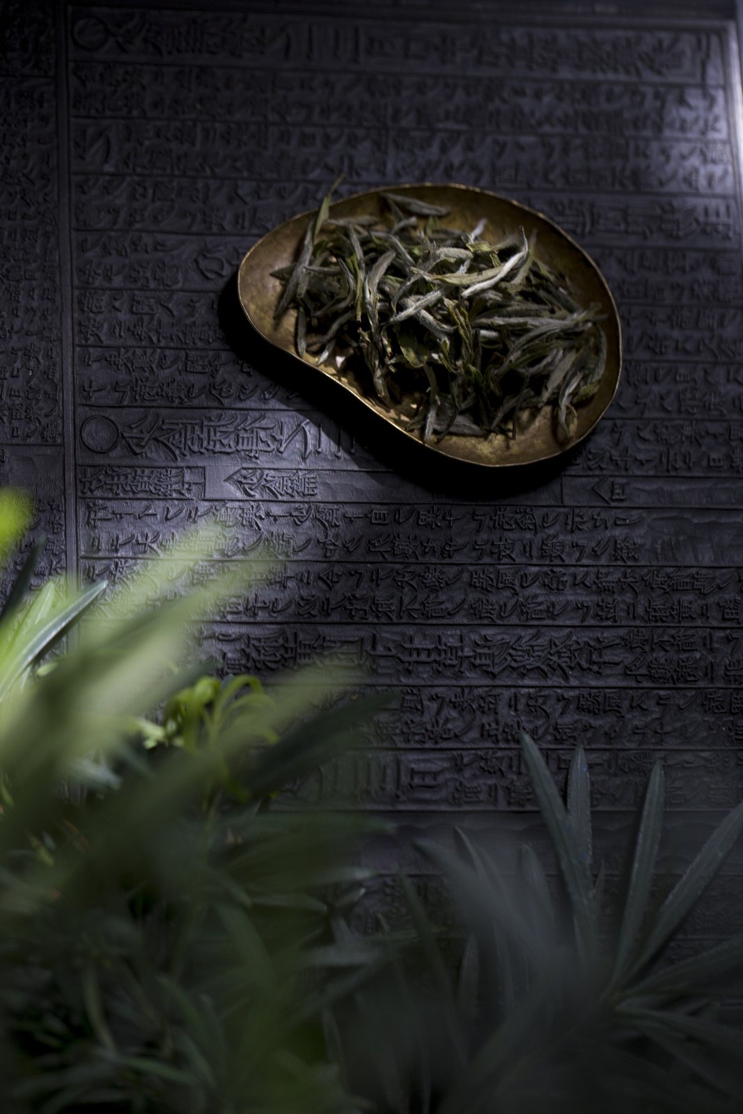 Wilderness Tea — dry leaf