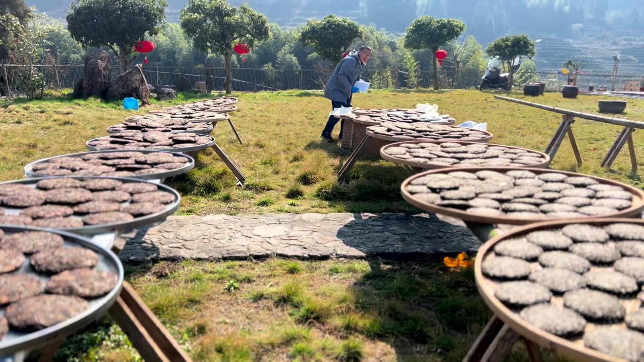 Pressed cakes drying on bamboo trays in the field