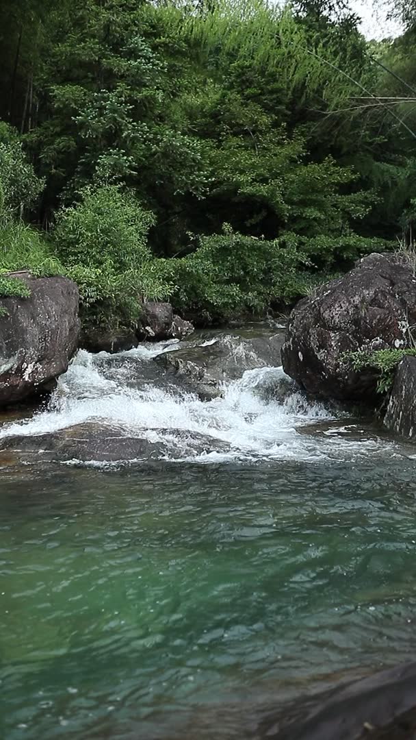 The stream below the gardens